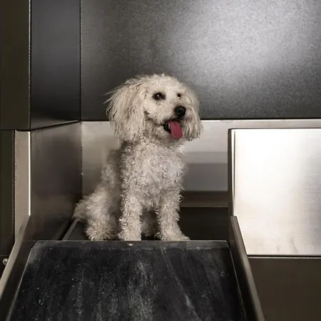 Ocean Breeze Auf Sylt * List auf Sylt